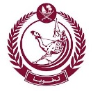 Logo 23